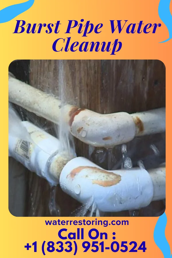 Burst Pipe Water Cleanup in Annandale, MN