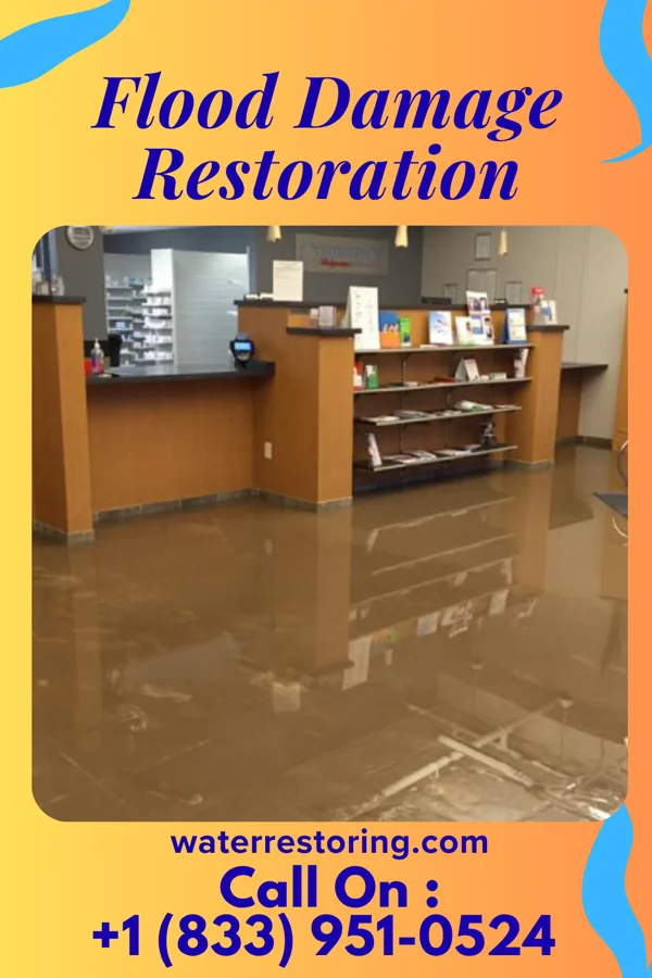 Flood Damage Restoration in Annandale, MN