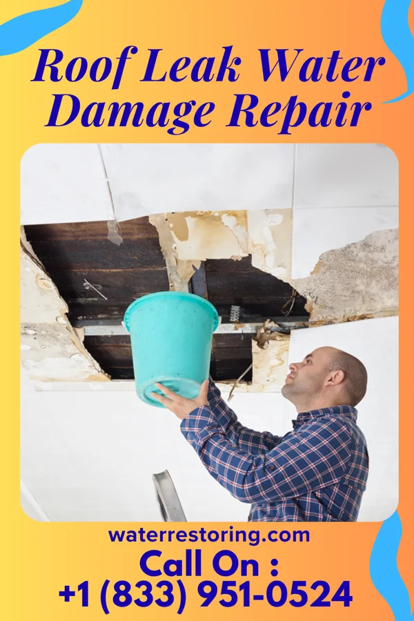 Roof Leak Water Damage Repair in Annandale, MN