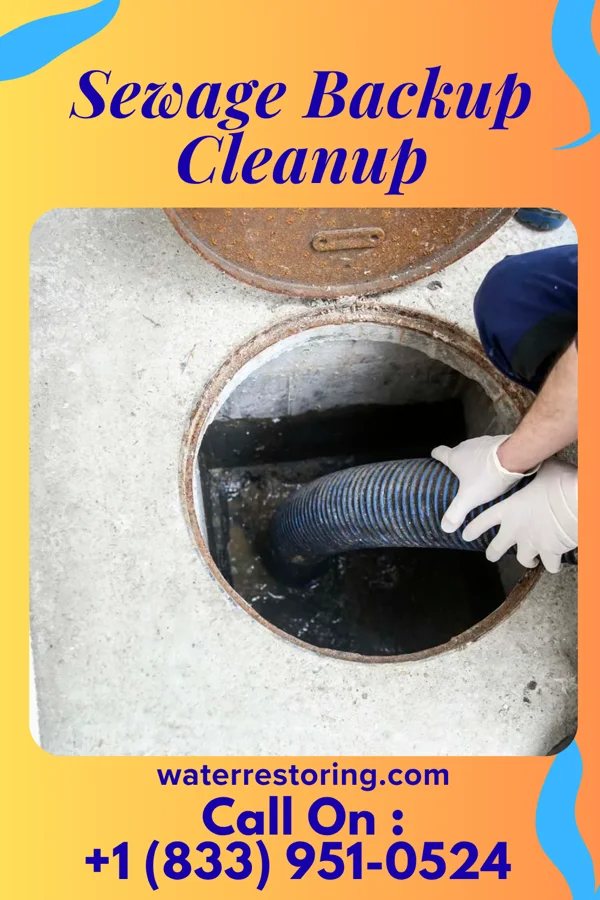 Sewage Backup Cleanup in Annandale, MN
