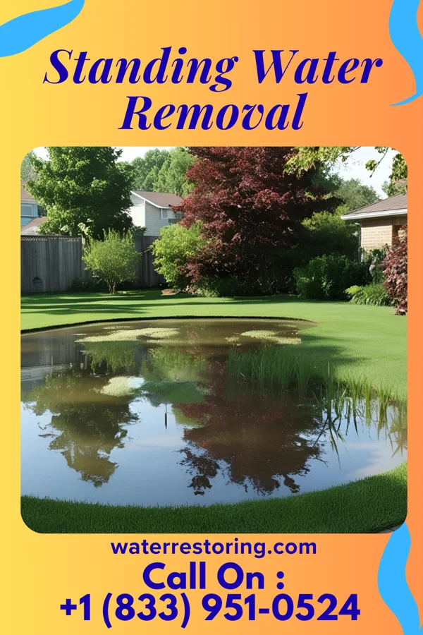 Standing Water Removal in Annandale, MN